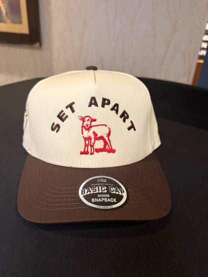 Set Apart SnapBack Hat