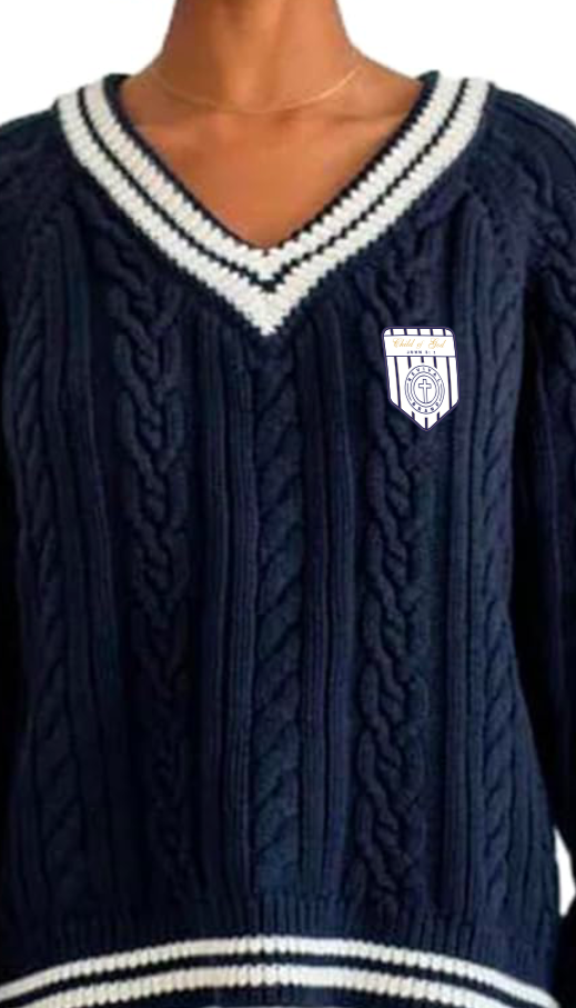 RB V-Neck Casual Sweater